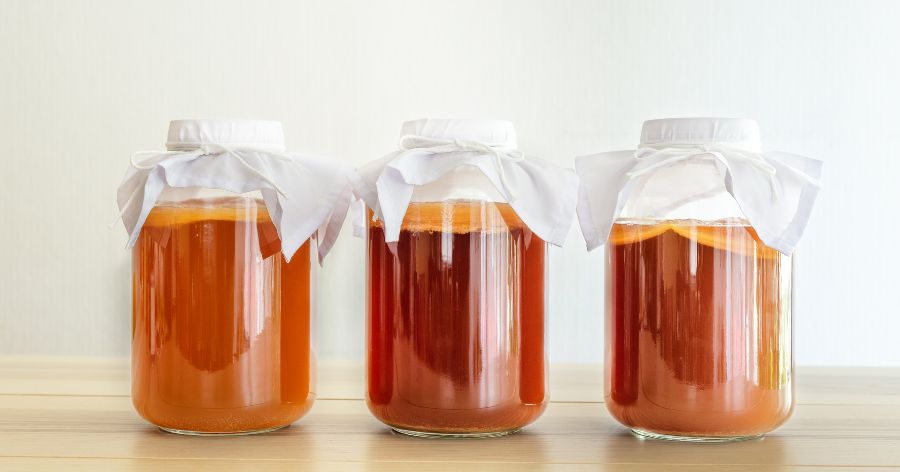 Is Kombucha Good for Gut Health