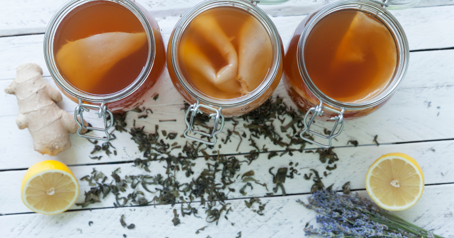 Kombucha Metabolism benefits