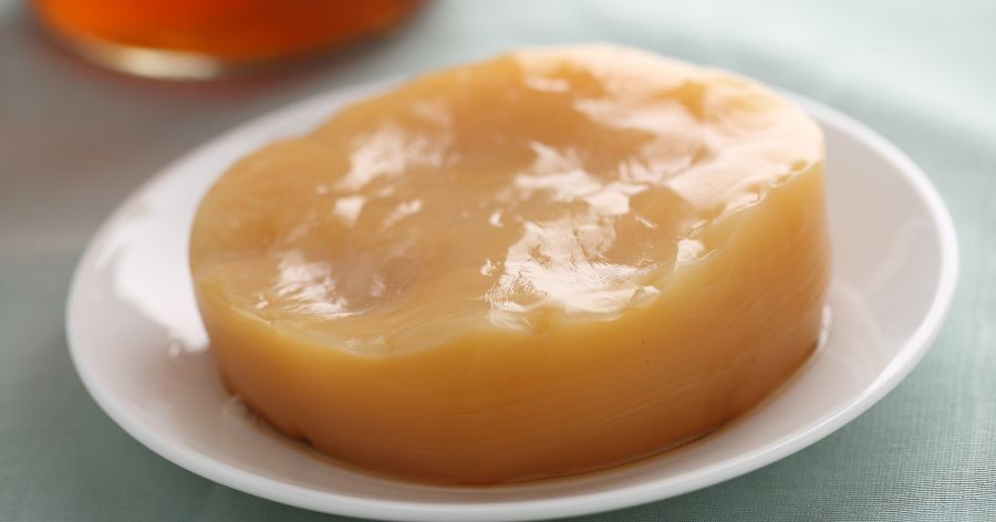 Scoby for Kombucha