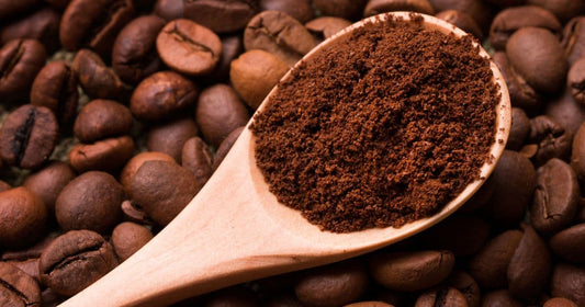 Wooden spoon filled with freshly ground coffee resting on a bed of roasted coffee beans.