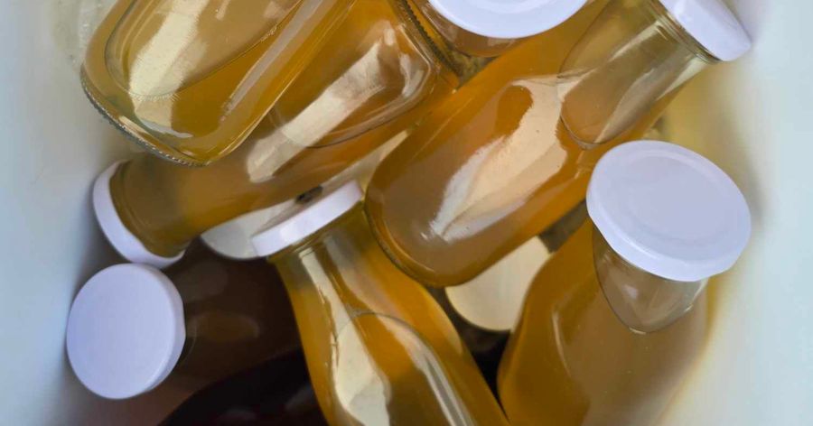 Kombucha in glass bottles