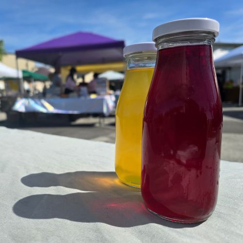 Tart Elderberry Kombucha | Firewalker Beverages